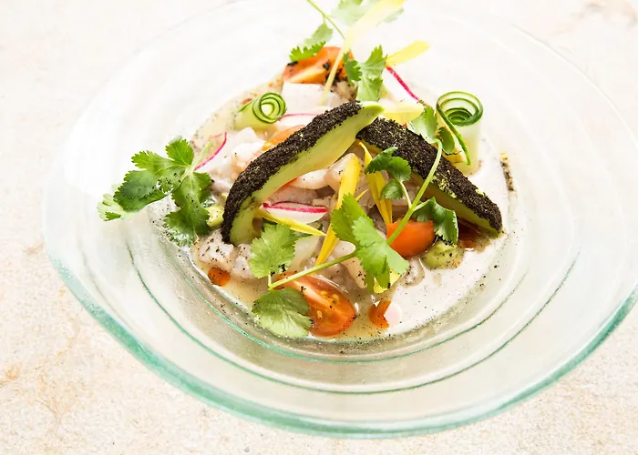 Hyatt Centric - Downtown House & House (adults Only) Hotel Playa del Carmen